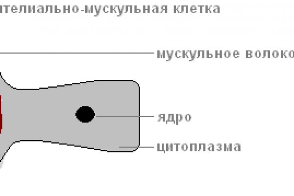 Как зайти на кракен через айфон